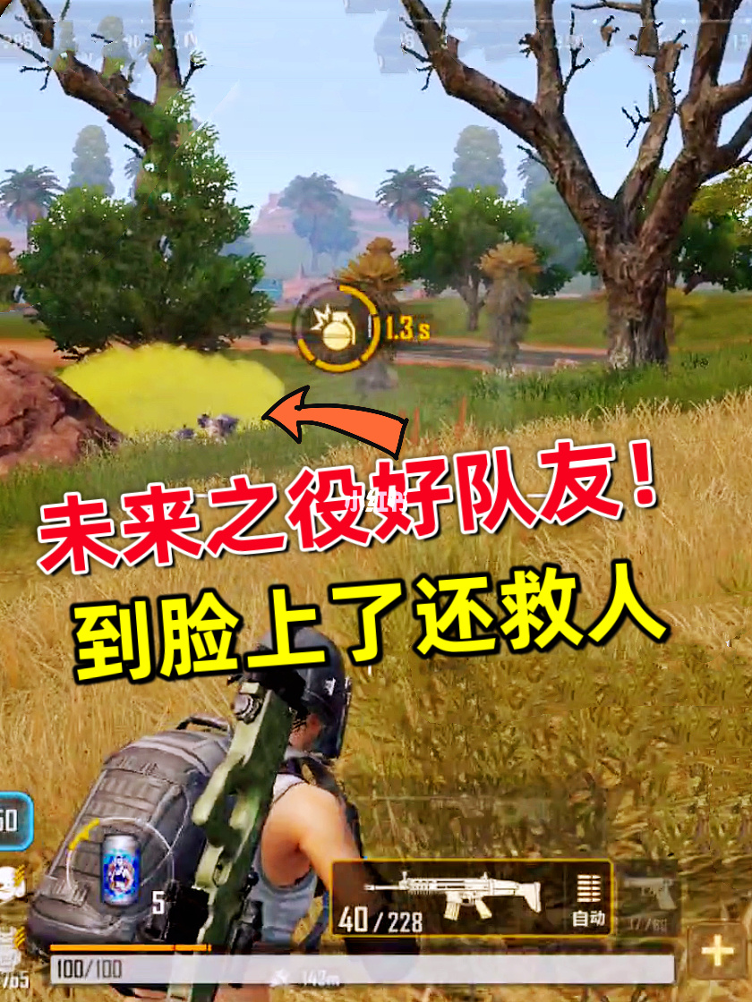 手机交火游戏_交火中文版下载_支持交火的网游