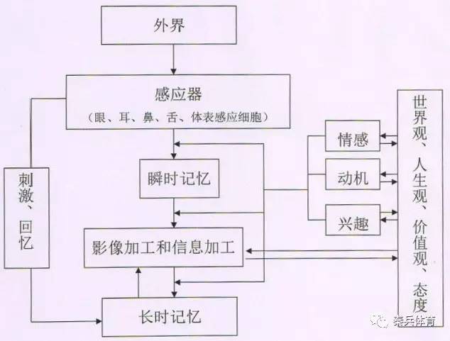 越玩越聪明的手机游戏下载_播放聪明的游戏_聪明人游戏