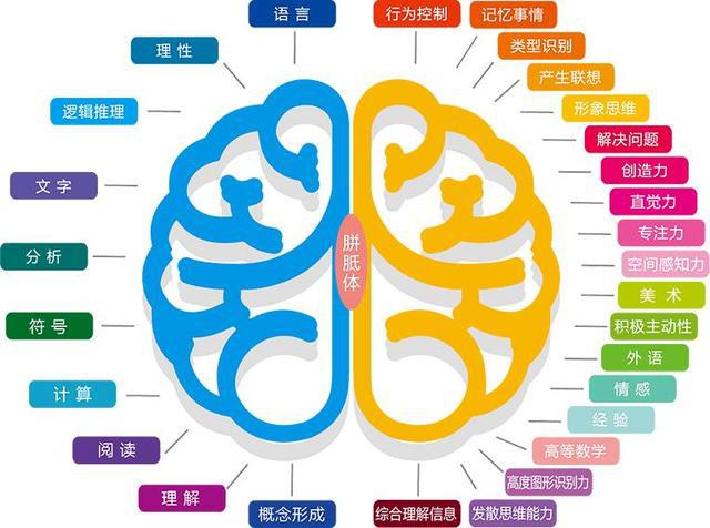 电脑手机游戏益智_益智游戏电脑_益智电脑手机游戏
