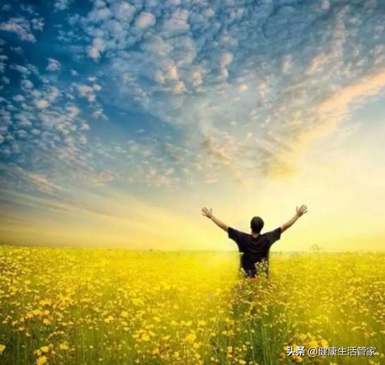 掉除手机游戏怎么办_除掉手机游戏_掉除手机游戏怎么找回