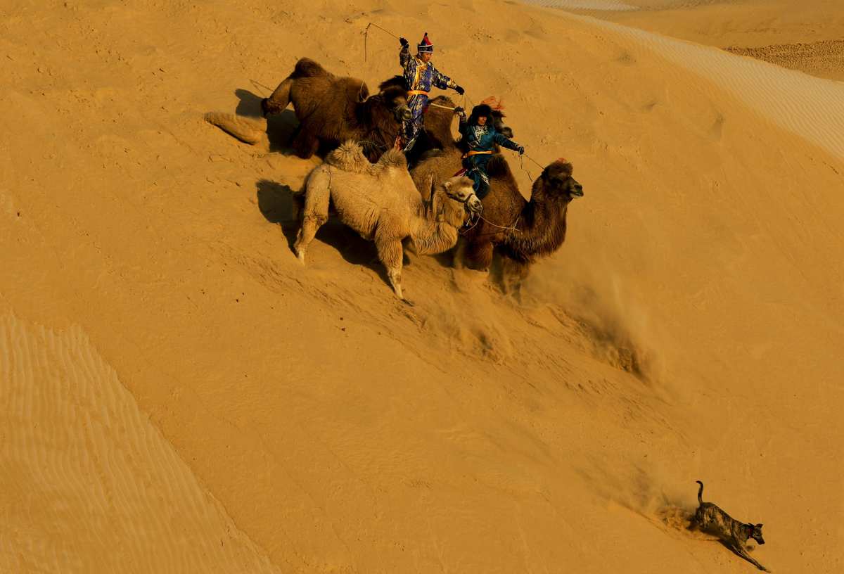 手机游戏4399_cameloft手机游戏_手机游戏排行榜