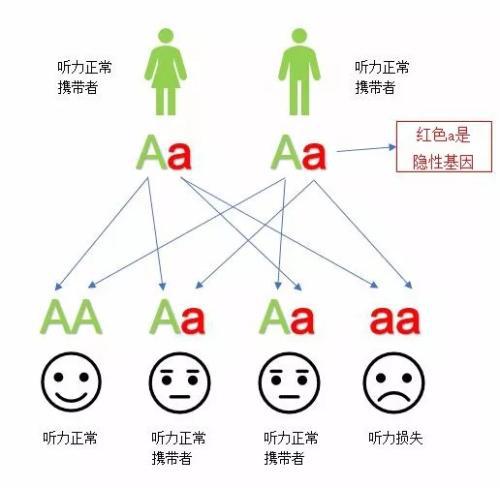 手机游戏排行榜_DNA游戏手机_手机游戏dnf