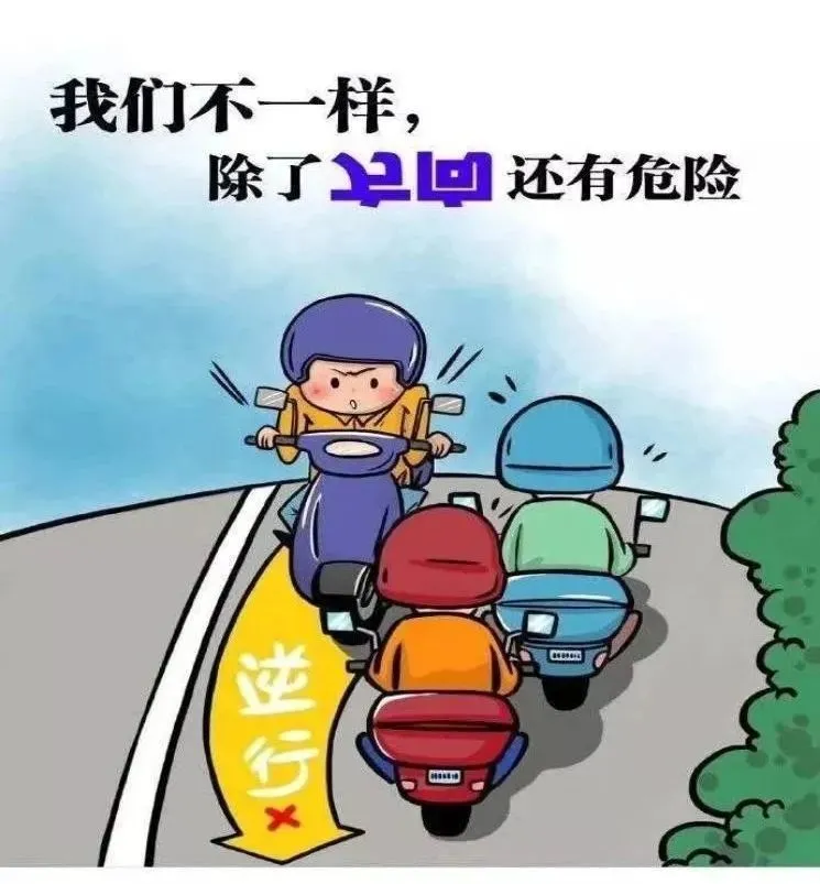 骑电动车玩手机违反什么法_骑电动车玩手机游戏的危害_骑电车玩手机的危害