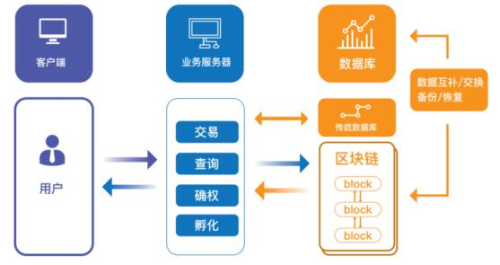 下载imtoken钱包官方_下载imtoken钱包app_如何下载imtoken