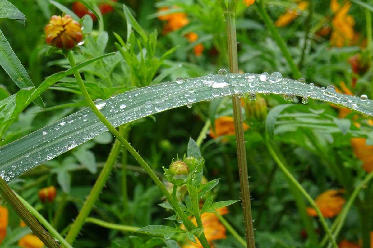 雨后故事小gif动态图_雨后的小故事gif_雨后故事小故事表情包