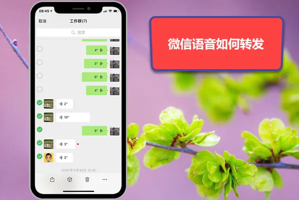 telegram只能给双向_telegram双向_telegram只能给双向