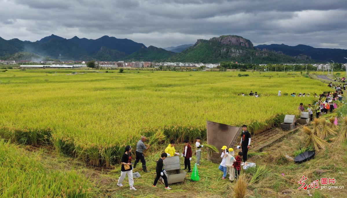 狼人游戏全集_狼人游戏软件_狼人游戏下载手机游戏