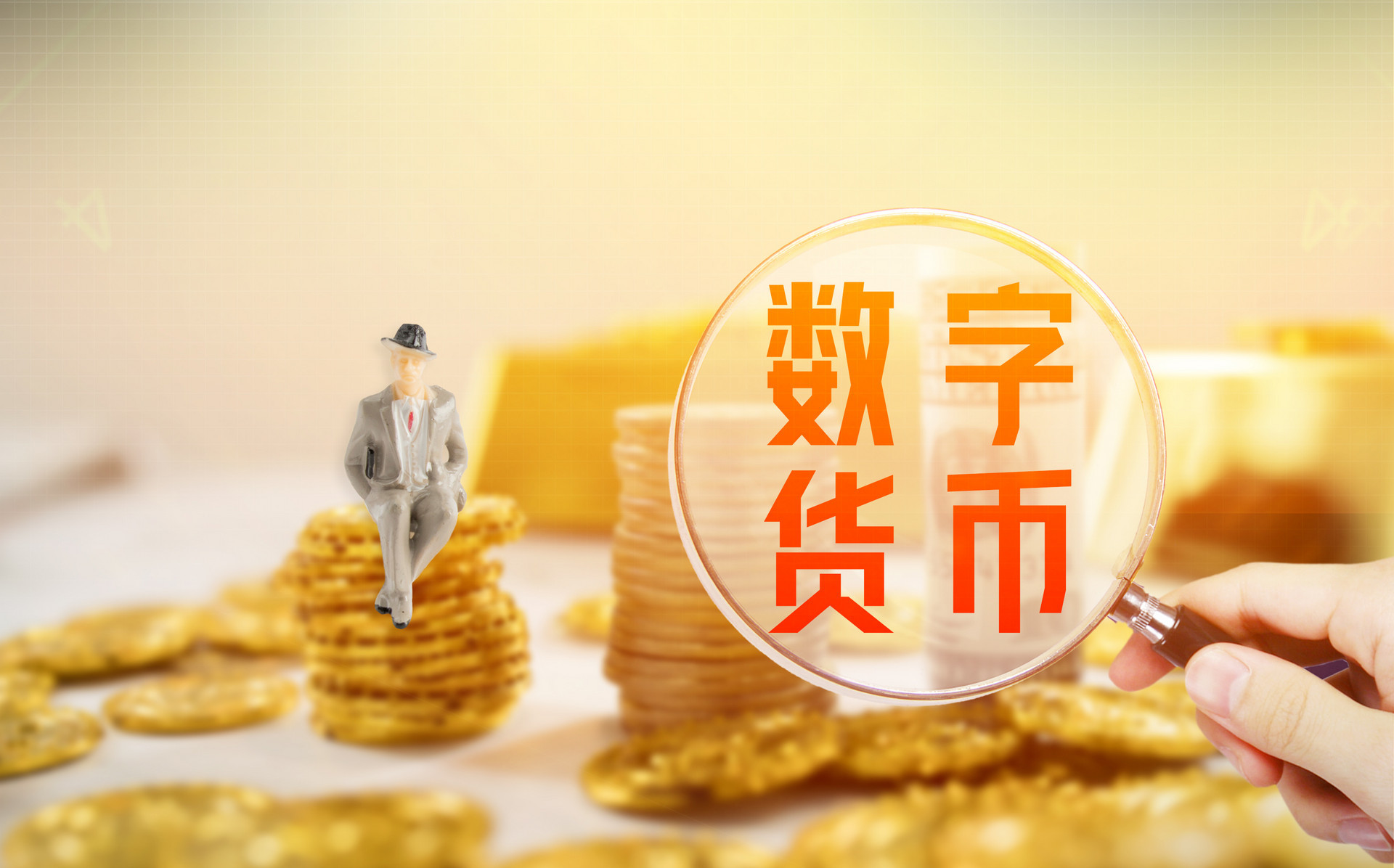 身份钱包和单币钱包的区别_tp钱包身份钱包_tp钱包身份钱包和单网络钱包