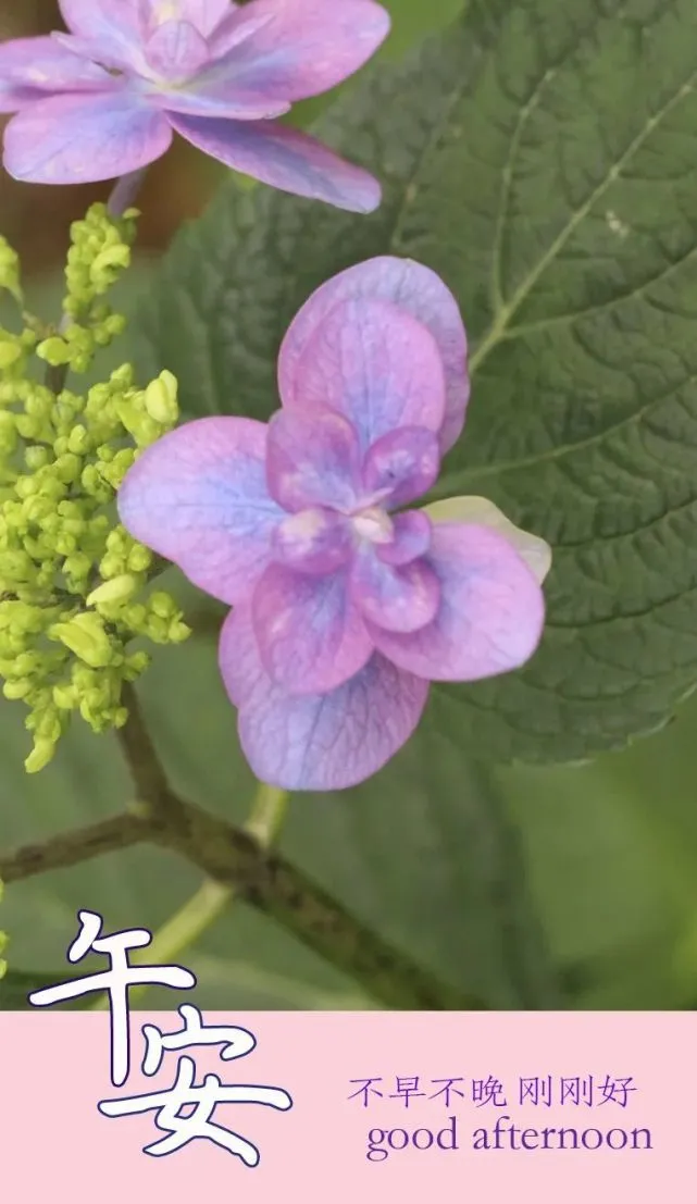 废弃照片_废弃变成宝_废弃的手机变成游戏机图片