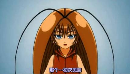 蟑螂娘_蟑螂娘_蟑螂娘