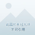 telegram怎么加入_telegram下载_加入tele小组会泄露