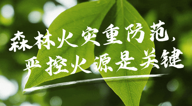 异地玩游戏惩罚人的好点子_异地手机游戏_XY游戏惩罚游戏手机异地