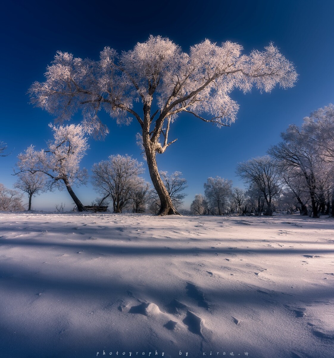 葛兰雪_葛兰雪_葛兰雪