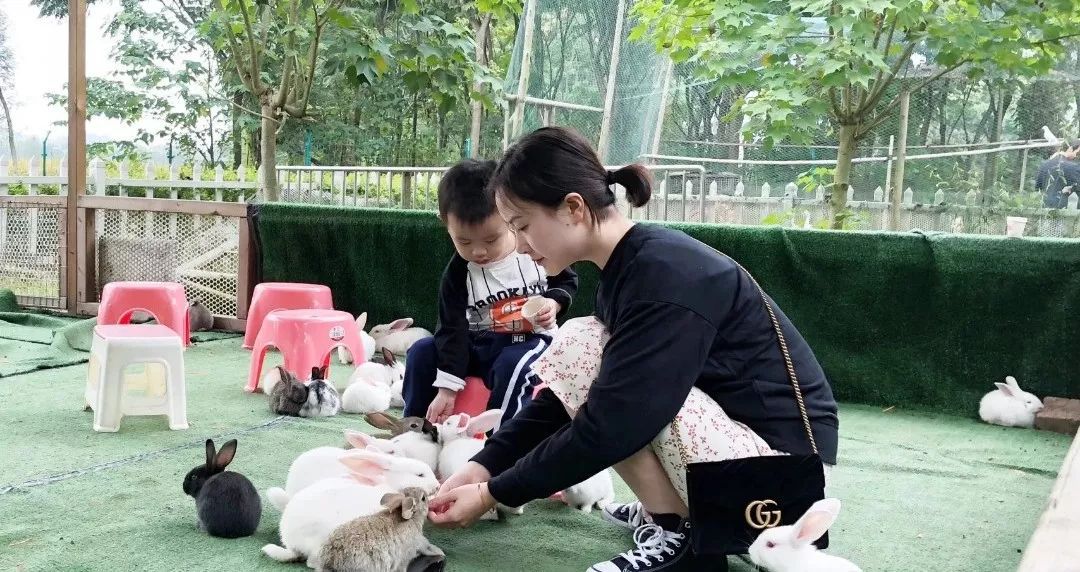 有个兔子的游戏_兔子的手机游戏_带兔子的手机游戏有哪些