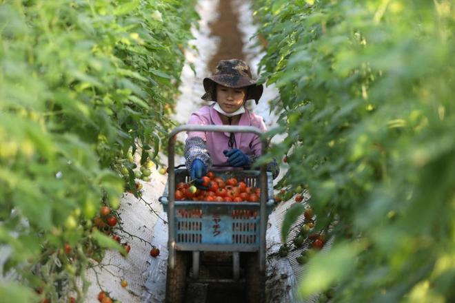 钱包app下载苹果手机_apple钱包下载_tp钱包苹果手机下载