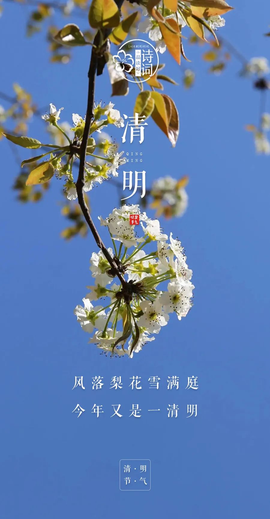 清明节的寓意和象征简短_清明节寓义_清明节寓意