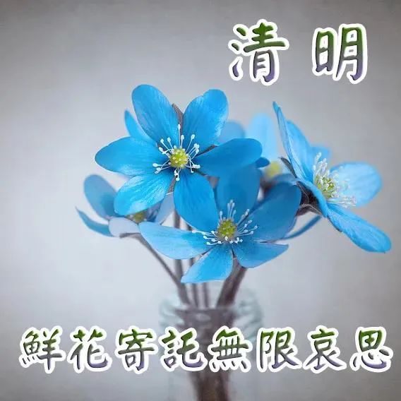 清明节寓义_清明节寓意_清明节的寓意和象征简短