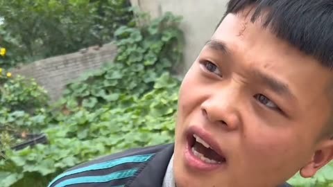 尖声惊笑2_尖声惊笑4下载_惊声尖笑5在线观看完整版免费观看