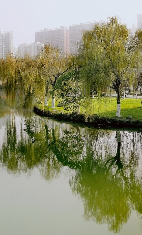 帆风润子_帆风润子壁纸_帆风润子喜欢削板军霸