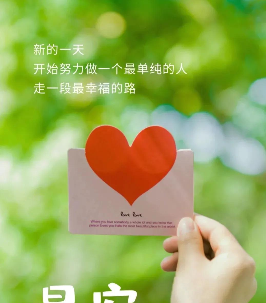 帆风润子壁纸_帆风润子喜欢削板军霸_帆风润子