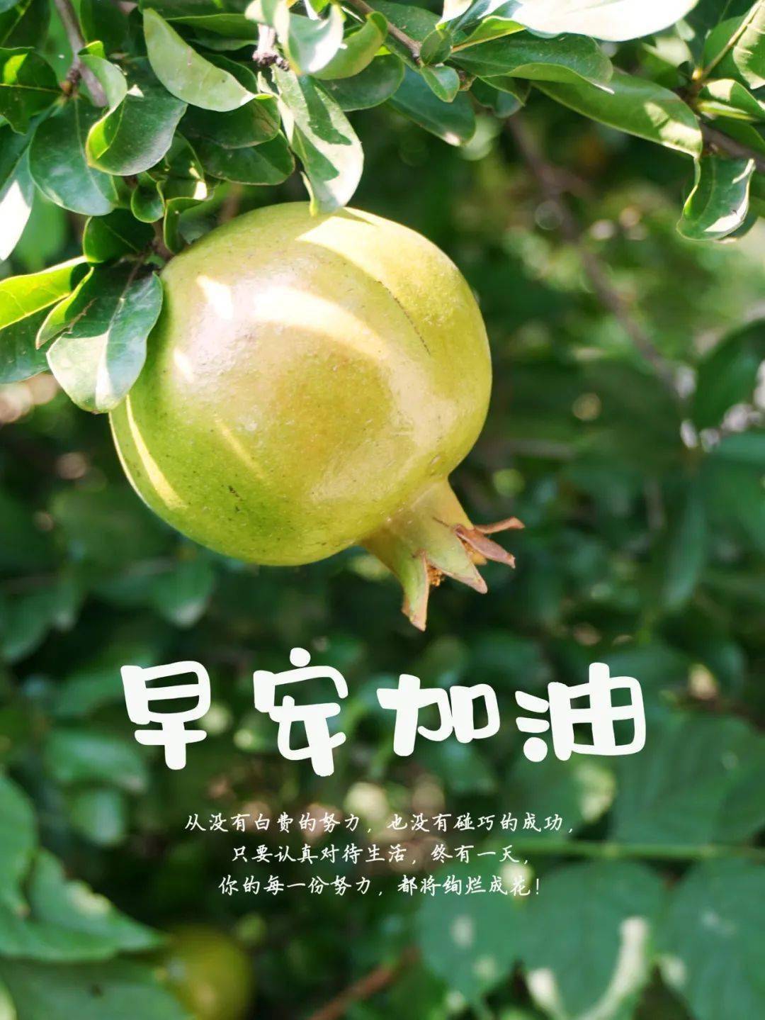 为明天_明天和你_如果明天来临