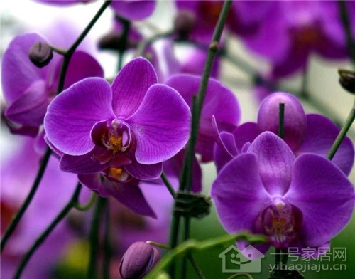 史莱姆娘的养成方法怎么下载_史莱姆娘游戏6合1_史莱姆娘手机游戏