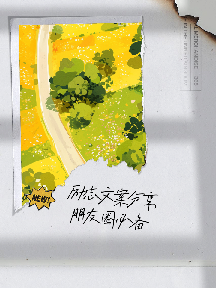 美里是谁_美里诗织_美里之死